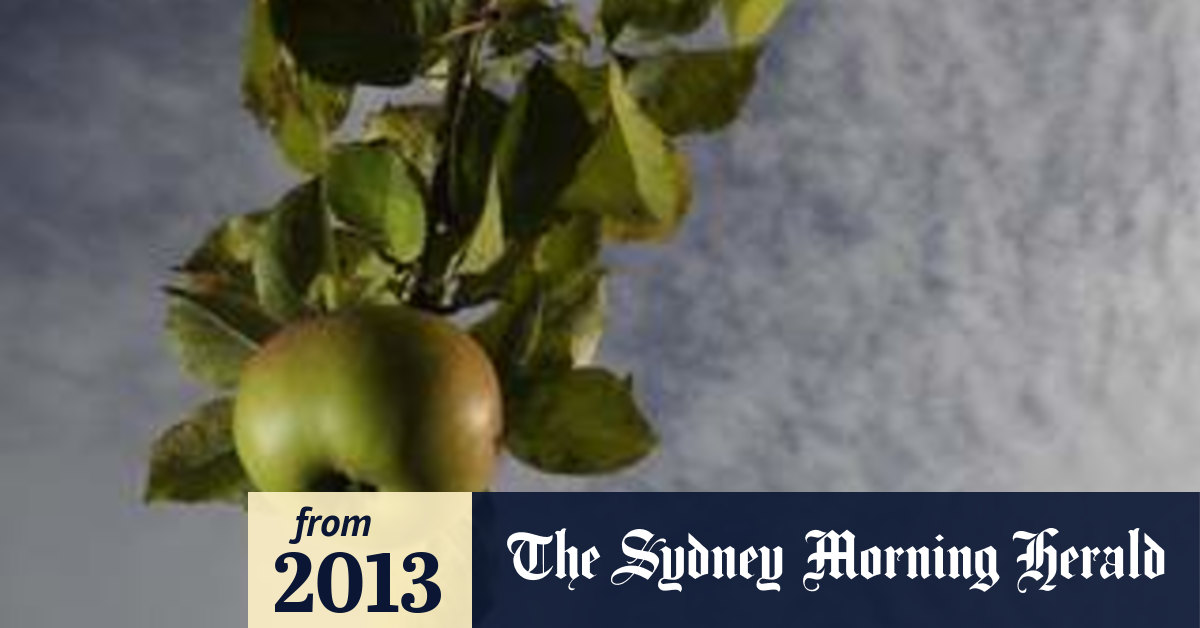 Spirited fight over cider tax push